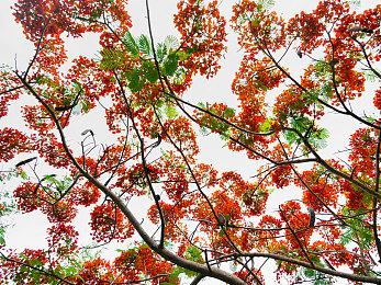 《生化危机4：重制版》在发售前一个月遭遇诸多问题 还好解决了