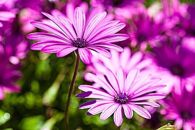 《街头霸王6》肯角色指南 6月2日发售