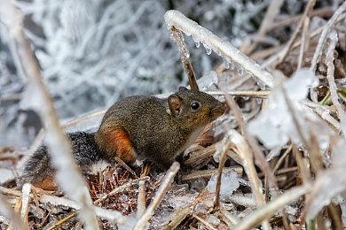 《往日不再》在Steam上首次打折 优惠价223元